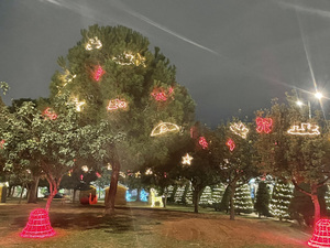 Φωτισμός δέντρων σε χριστουγιεννιάτικο πάρκο